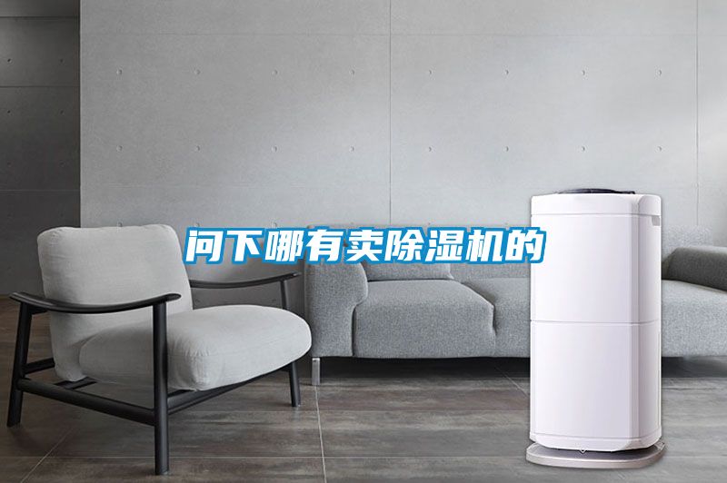 問(wèn)下哪有賣(mài)除濕機的