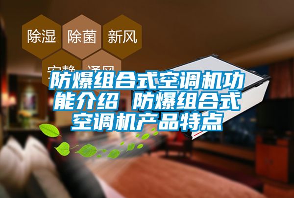 防爆組合式空調機功能介紹 防爆組合式空調機產(chǎn)品特點(diǎn)