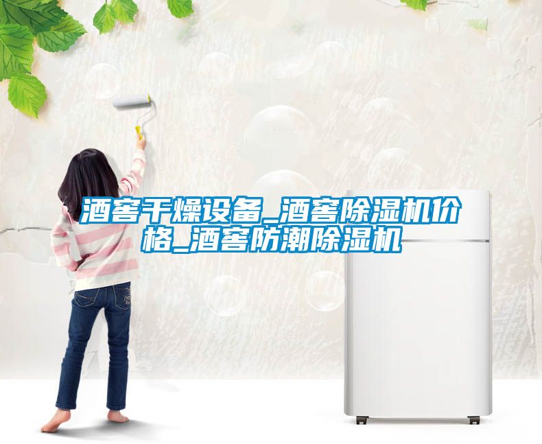 酒窖干燥設備_酒窖除濕機價(jià)格_酒窖防潮除濕機