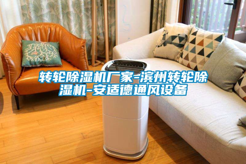 轉輪除濕機廠(chǎng)家-濱州轉輪除濕機-安適德通風(fēng)設備