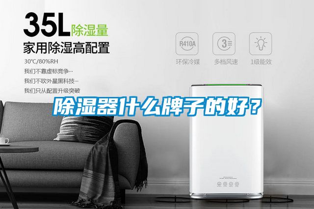 除濕器什么牌子的好？