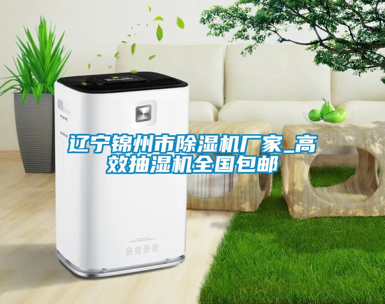 遼寧錦州市除濕機廠(chǎng)家_高效抽濕機全國包郵