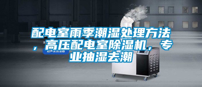 配電室雨季潮濕處理方法，高壓配電室除濕機，專(zhuān)業(yè)抽濕去潮