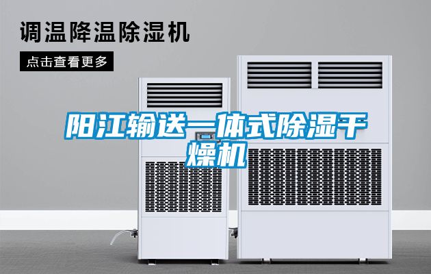 陽(yáng)江輸送一體式除濕干燥機
