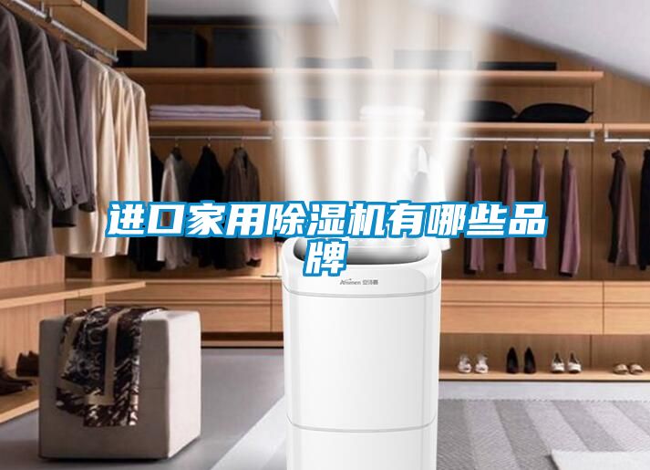 進(jìn)口家用除濕機有哪些品牌