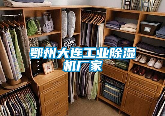 鄂州大連工業(yè)除濕機廠(chǎng)家