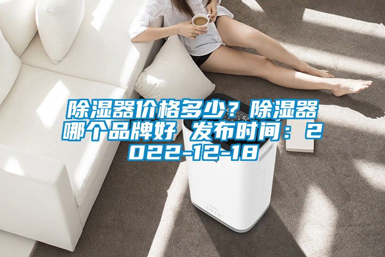 除濕器價(jià)格多少？除濕器哪個(gè)品牌好 發(fā)布時(shí)間：2022-12-18