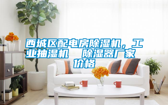西城區配電房除濕機，工業(yè)抽濕機  除濕器廠(chǎng)家 價(jià)格