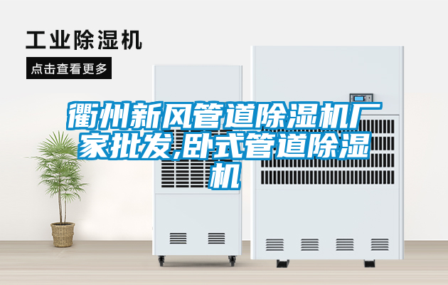 衢州新風(fēng)管道除濕機廠(chǎng)家批發(fā),臥式管道除濕機