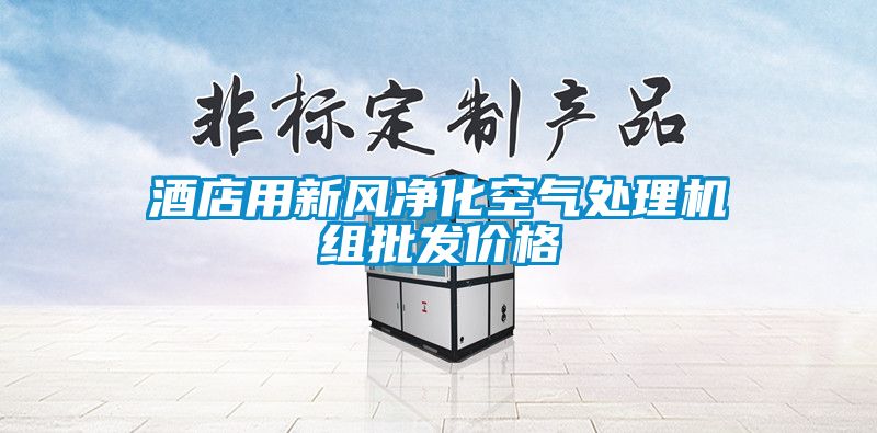 酒店用新風(fēng)凈化空氣處理機組批發(fā)價(jià)格
