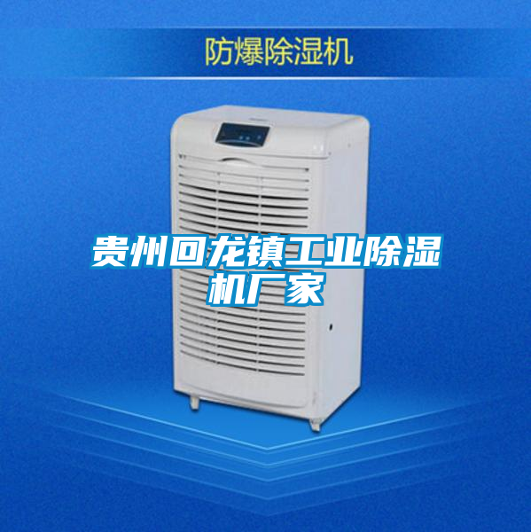 貴州回龍鎮工業(yè)除濕機廠(chǎng)家