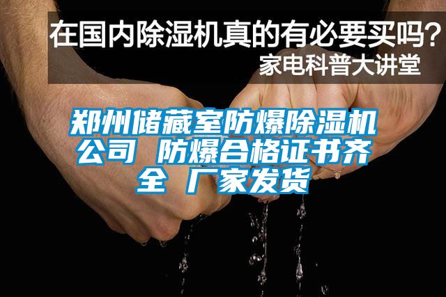 鄭州儲藏室防爆除濕機公司 防爆合格證書(shū)齊全 廠(chǎng)家發(fā)貨