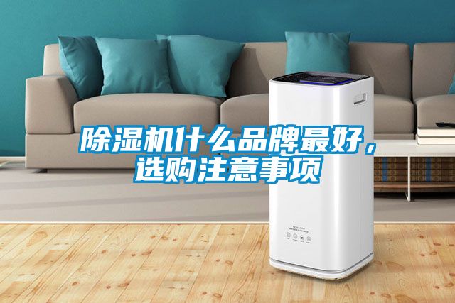 除濕機什么品牌最好，選購注意事項