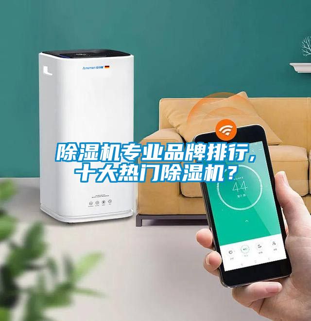 除濕機專(zhuān)業(yè)品牌排行,十大熱門(mén)除濕機？