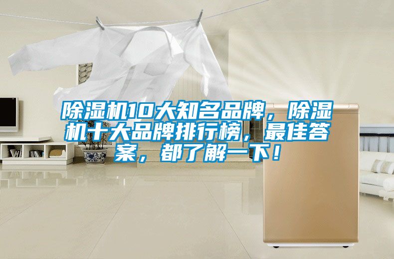 除濕機10大知名品牌，除濕機十大品牌排行榜，最佳答案，都了解一下！