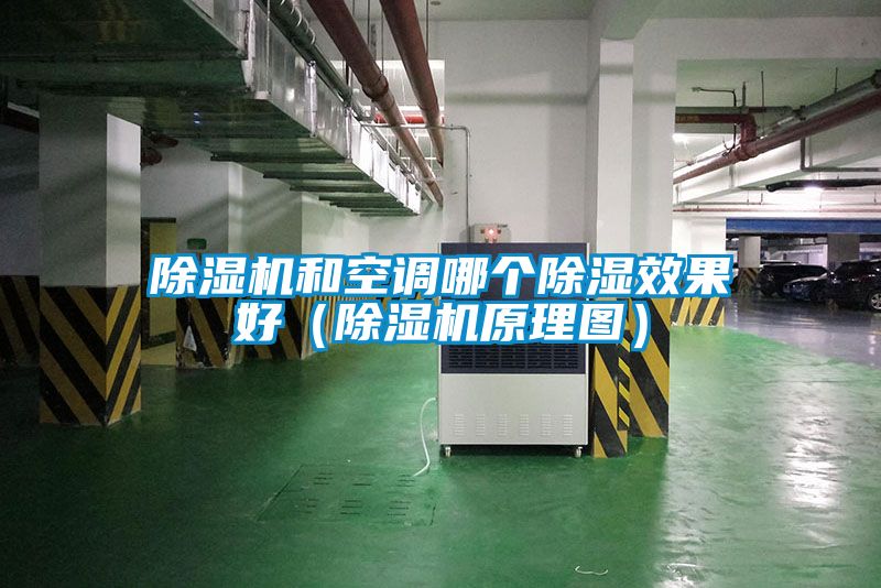 除濕機和空調哪個(gè)除濕效果好（除濕機原理圖）