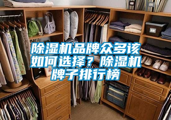 除濕機品牌眾多該如何選擇？除濕機牌子排行榜
