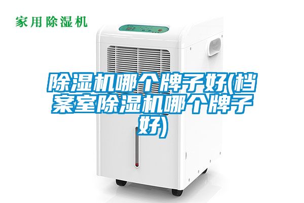 除濕機哪個(gè)牌子好(檔案室除濕機哪個(gè)牌子好)