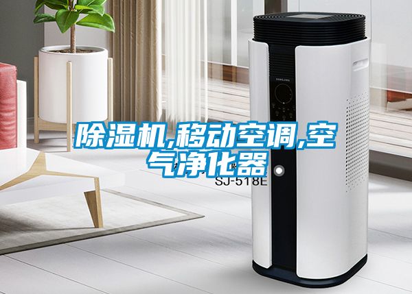 除濕機,移動(dòng)空調,空氣凈化器