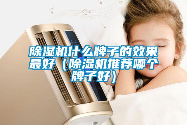 除濕機什么牌子的效果最好（除濕機推薦哪個(gè)牌子好）