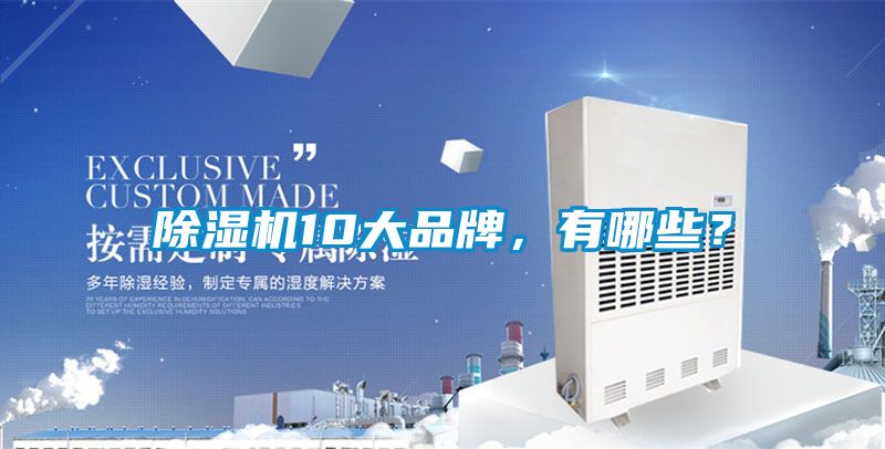 除濕機10大品牌，有哪些？