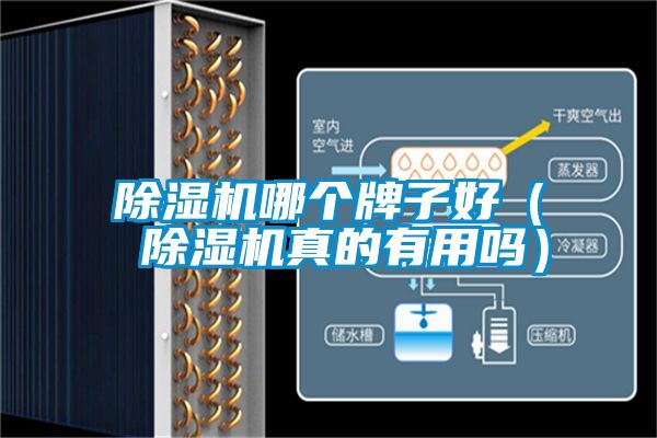 除濕機哪個(gè)牌子好（ 除濕機真的有用嗎）