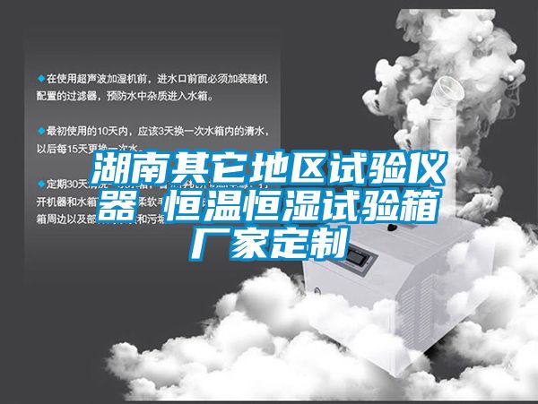 湖南其它地區試驗儀器 恒溫恒濕試驗箱廠(chǎng)家定制