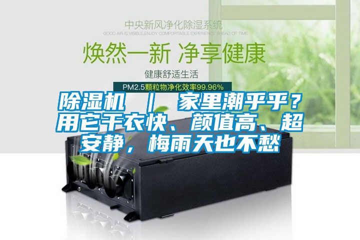 除濕機 ｜ 家里潮乎乎？用它干衣快、顏值高、超安靜，梅雨天也不愁