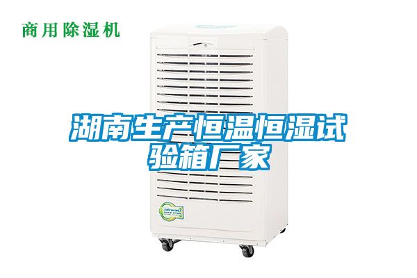 湖南生產(chǎn)恒溫恒濕試驗箱廠(chǎng)家
