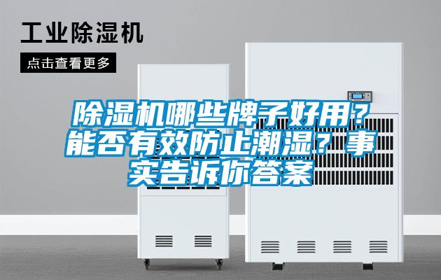 除濕機哪些牌子好用？能否有效防止潮濕？事實(shí)告訴你答案