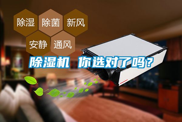 除濕機 你選對了嗎？