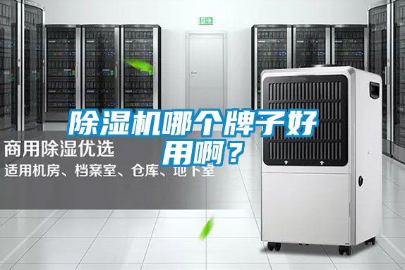 除濕機哪個(gè)牌子好 用??？
