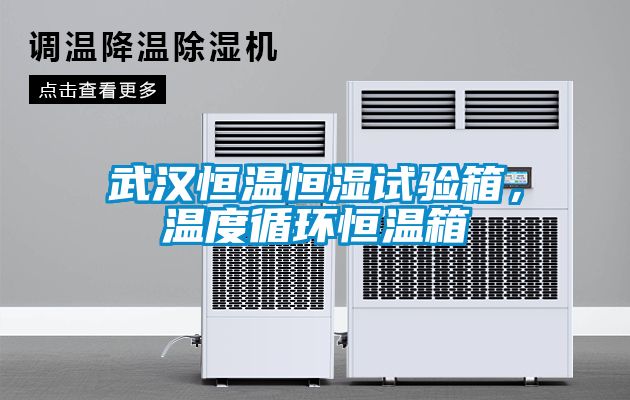 武漢恒溫恒濕試驗箱，溫度循環(huán)恒溫箱