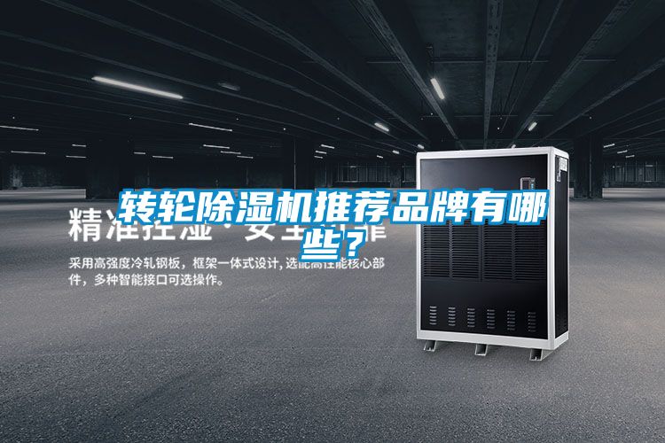 轉輪除濕機推薦品牌有哪些？
