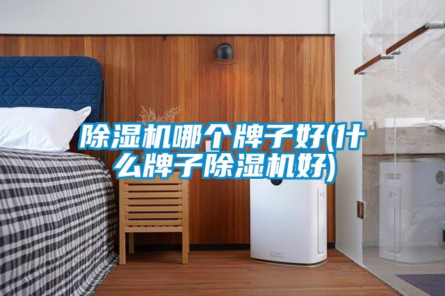 除濕機哪個(gè)牌子好(什么牌子除濕機好)