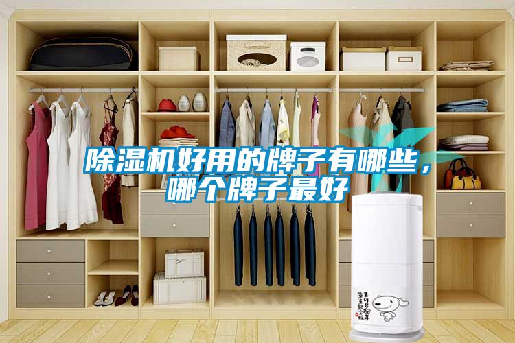 除濕機好用的牌子有哪些，哪個(gè)牌子最好