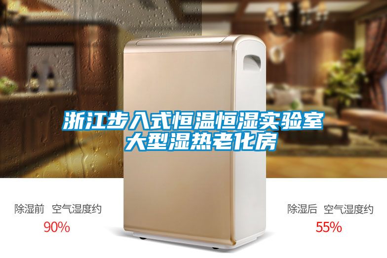 浙江步入式恒溫恒濕實(shí)驗室 大型濕熱老化房