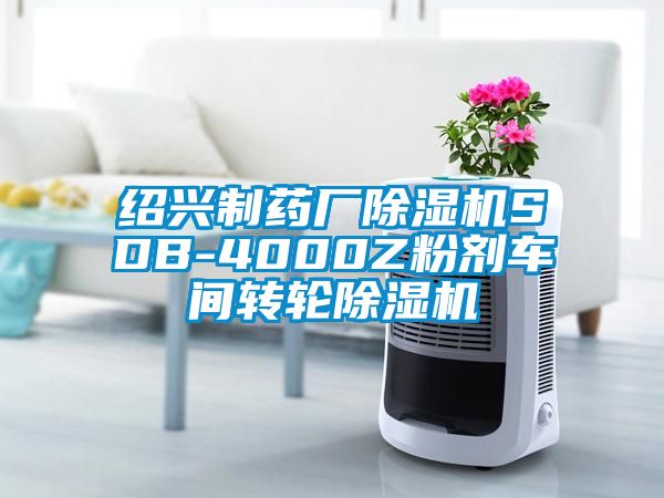 紹興制藥廠(chǎng)除濕機SDB-4000Z粉劑車(chē)間轉輪除濕機