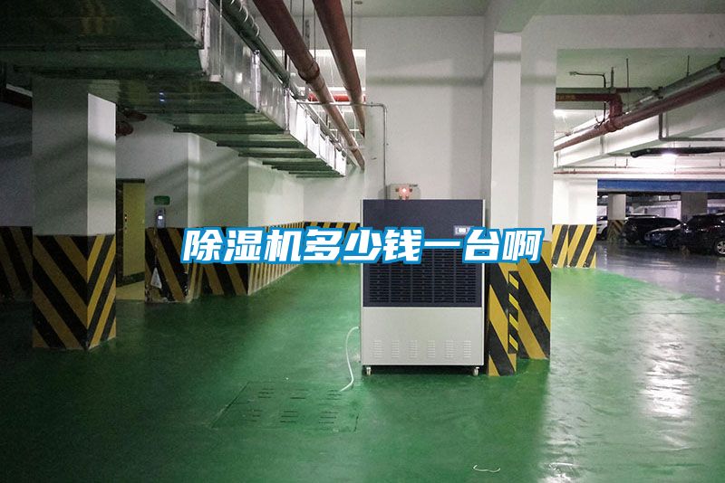 除濕機多少錢(qián)一臺啊