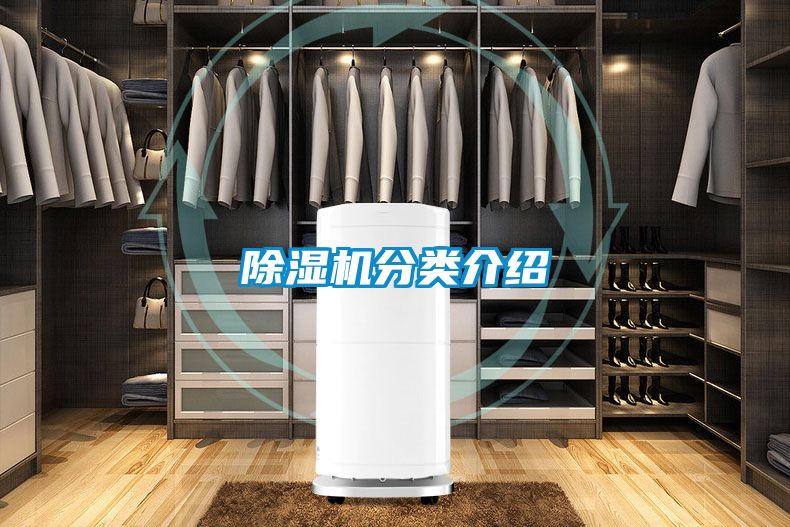 除濕機分類(lèi)介紹