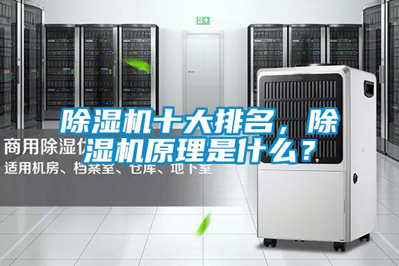 除濕機十大排名，除濕機原理是什么？