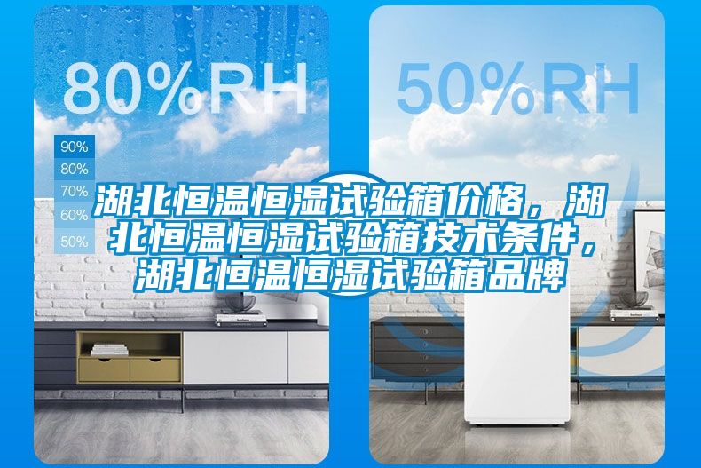 湖北恒溫恒濕試驗箱價(jià)格，湖北恒溫恒濕試驗箱技術(shù)條件，湖北恒溫恒濕試驗箱品牌