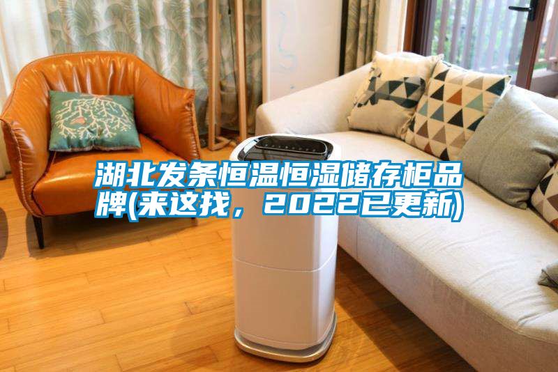 湖北發(fā)條恒溫恒濕儲存柜品牌(來(lái)這找，2022已更新)
