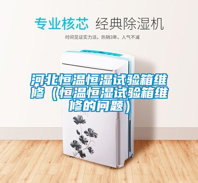 河北恒溫恒濕試驗箱維修（恒溫恒濕試驗箱維修的問(wèn)題）