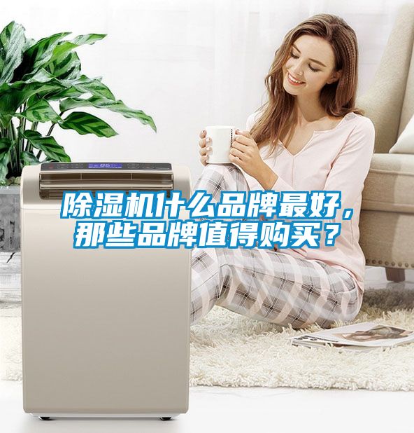 除濕機什么品牌最好，那些品牌值得購買(mǎi)？
