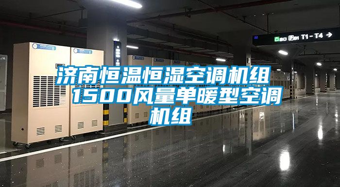 濟南恒溫恒濕空調機組  1500風(fēng)量單暖型空調機組