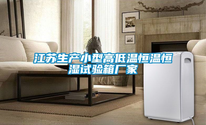 江蘇生產(chǎn)小型高低溫恒溫恒濕試驗箱廠(chǎng)家