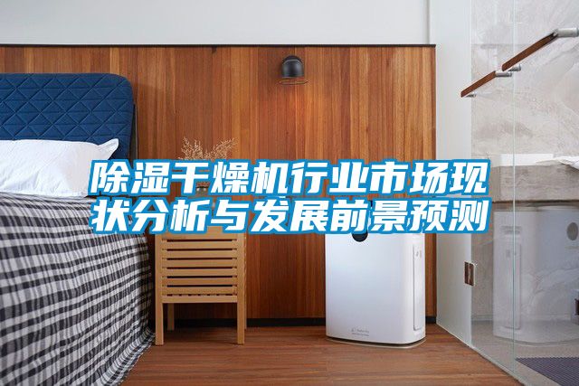 除濕干燥機行業(yè)市場(chǎng)現狀分析與發(fā)展前景預測