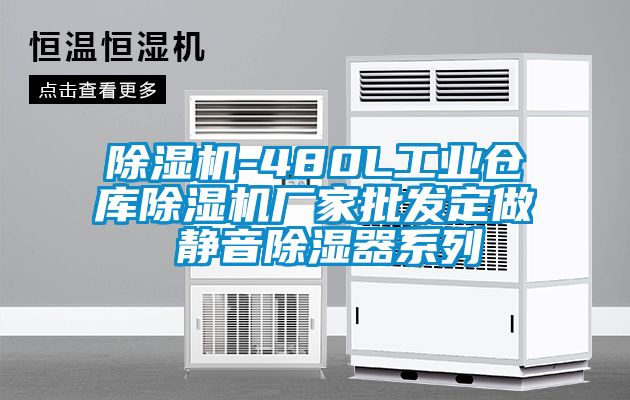 除濕機-480L工業(yè)倉庫除濕機廠(chǎng)家批發(fā)定做 靜音除濕器系列