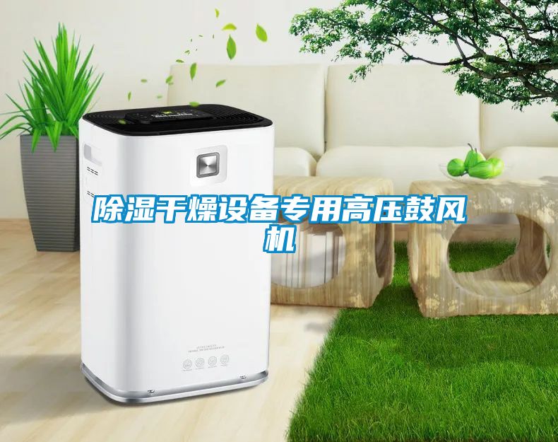 除濕干燥設備專(zhuān)用高壓鼓風(fēng)機